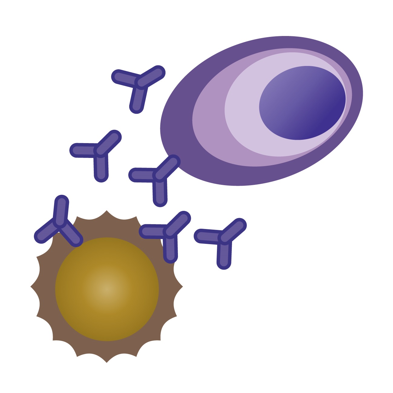 免疫グロブリン