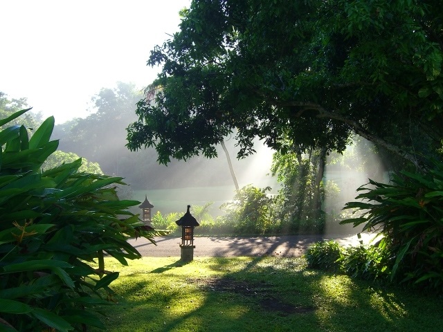 朝日を浴びればメラトニンがストップ