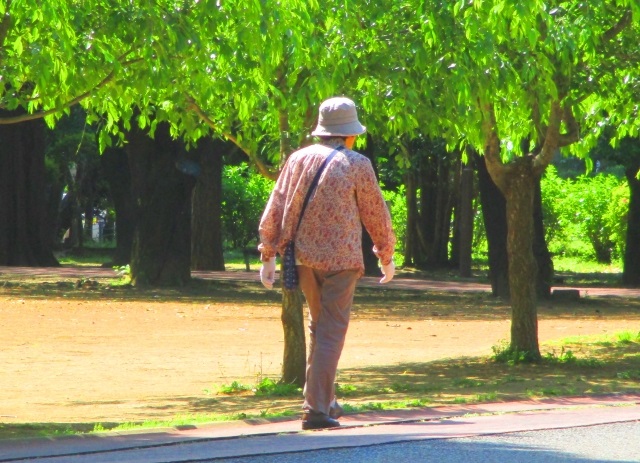 高齢者の運動、ストレッチ